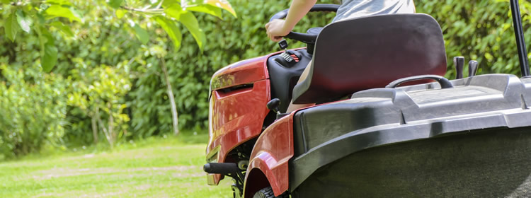 Usługi porządkowe oraz ogrodnicze